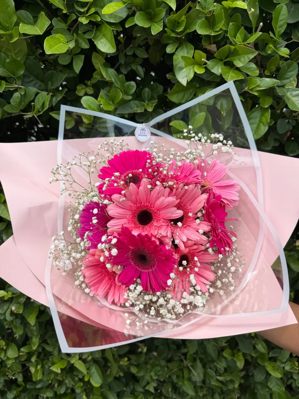 Glamur Rosa miniatura 2
