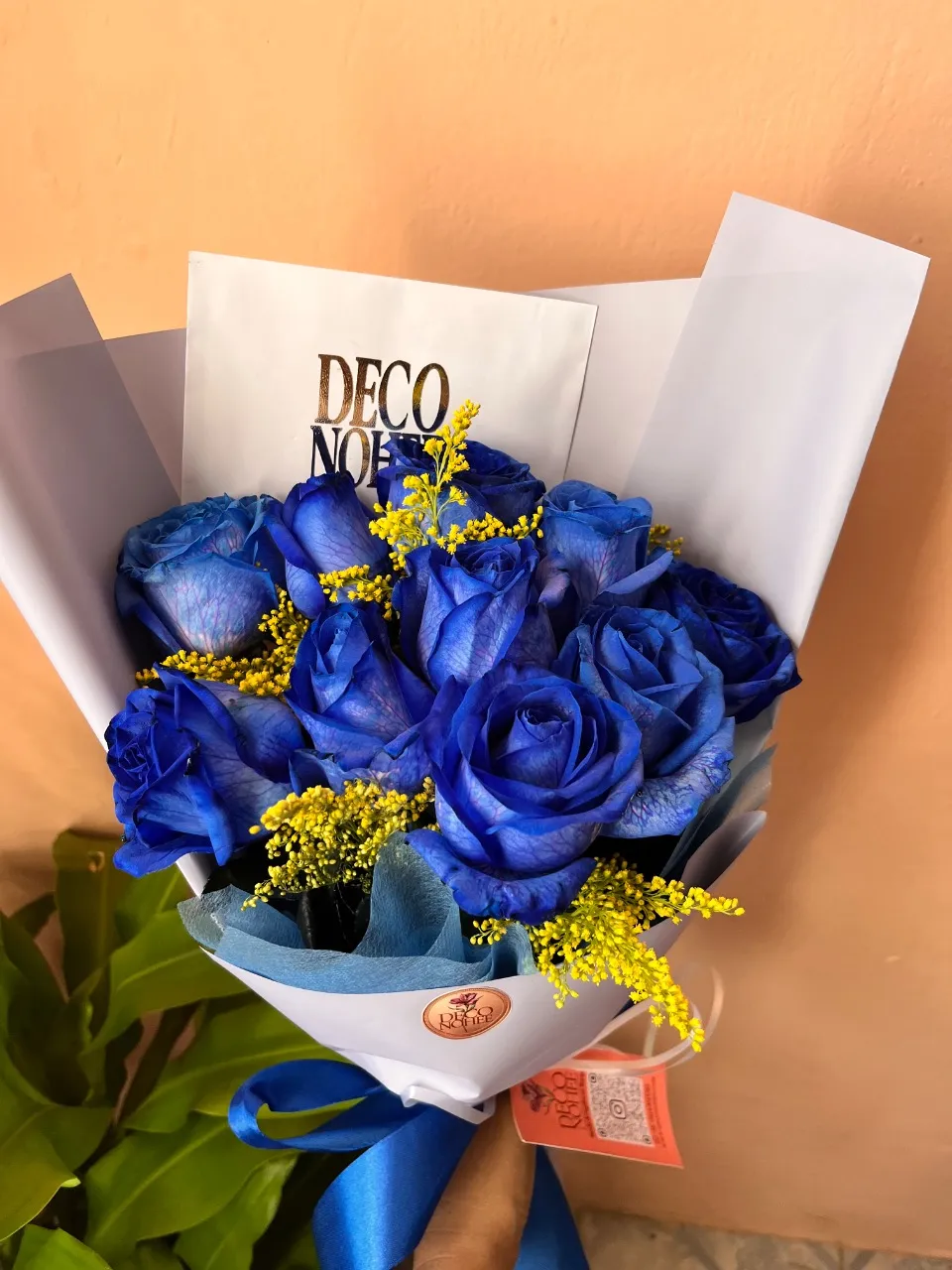 Océano de Amor  miniatura 3